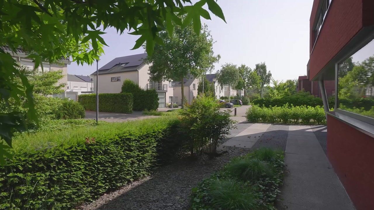Video van Grasboom 16