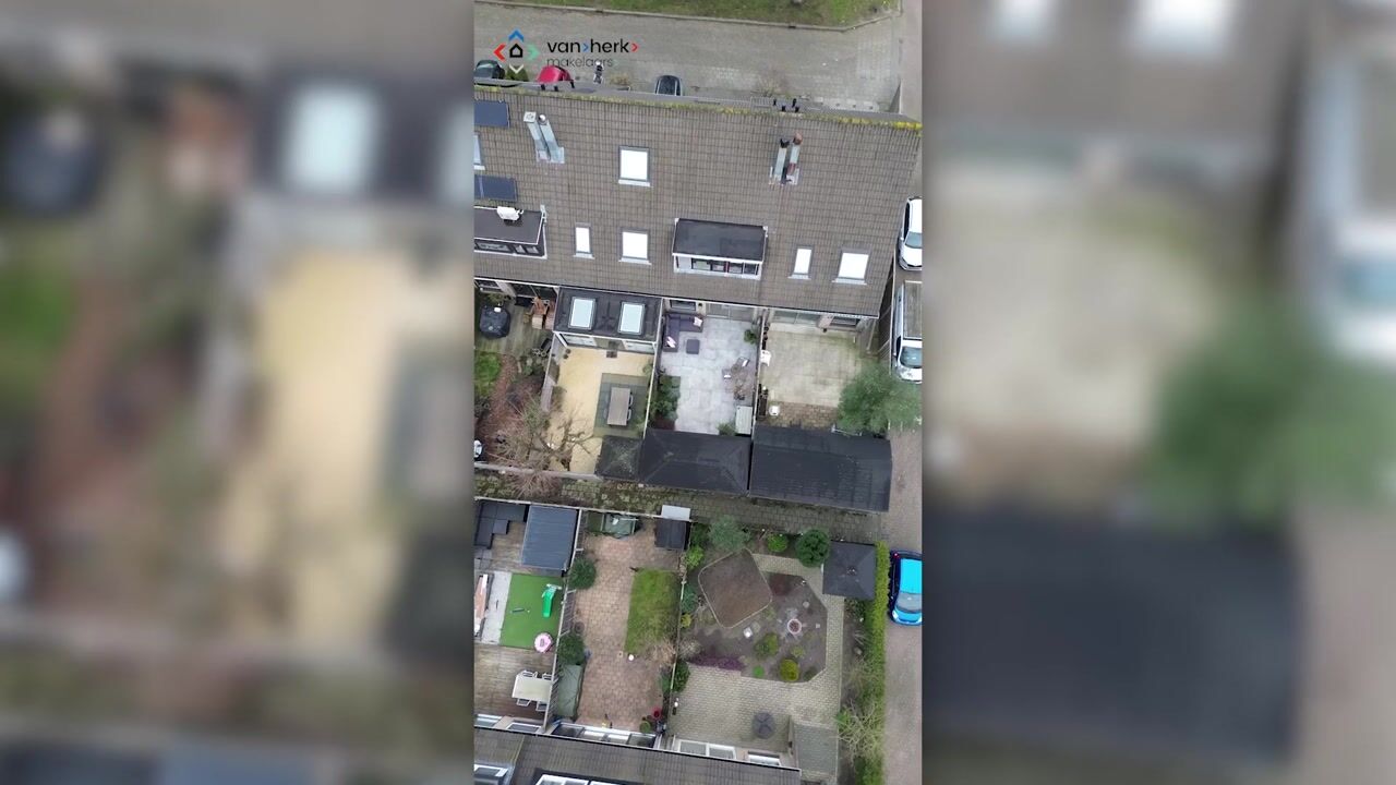 Video of Gemshoorn 21