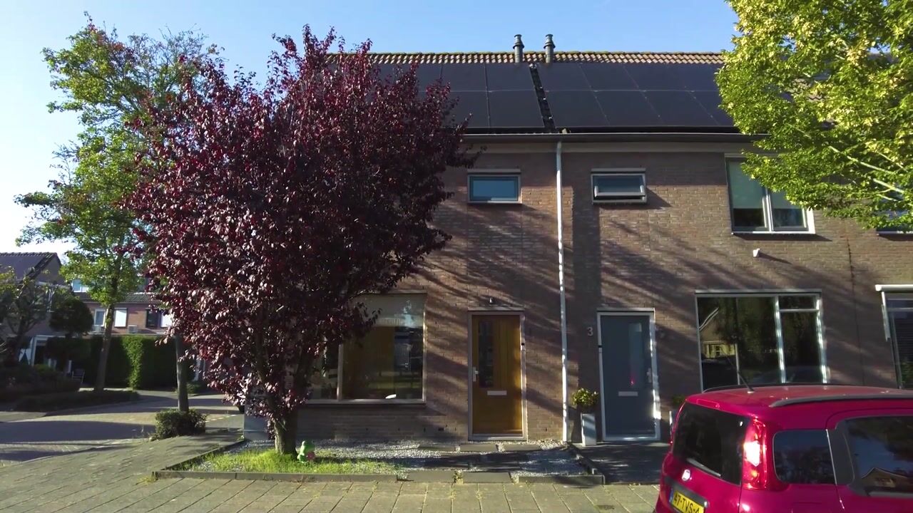 Video van Blauwe Reiger 1
