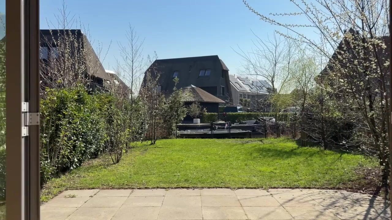 Video of IJsvogel 41