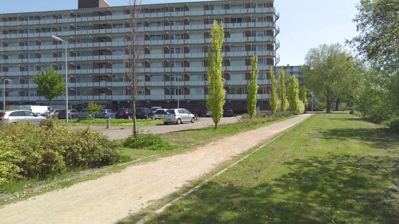 Video van Merelhoven 59