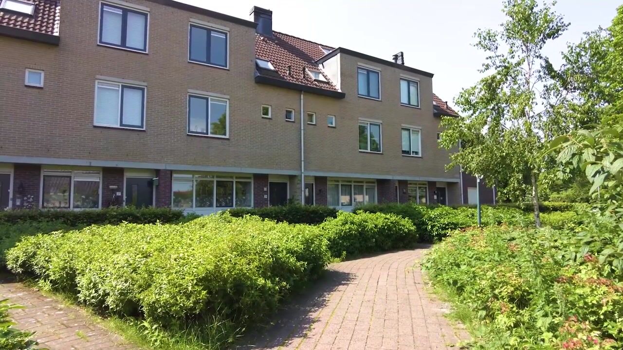 Video of Goudvink 39
