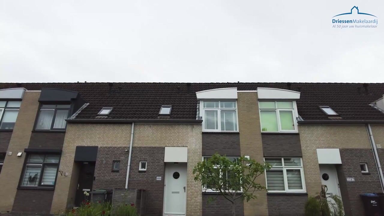 Video van Saltshof 3305