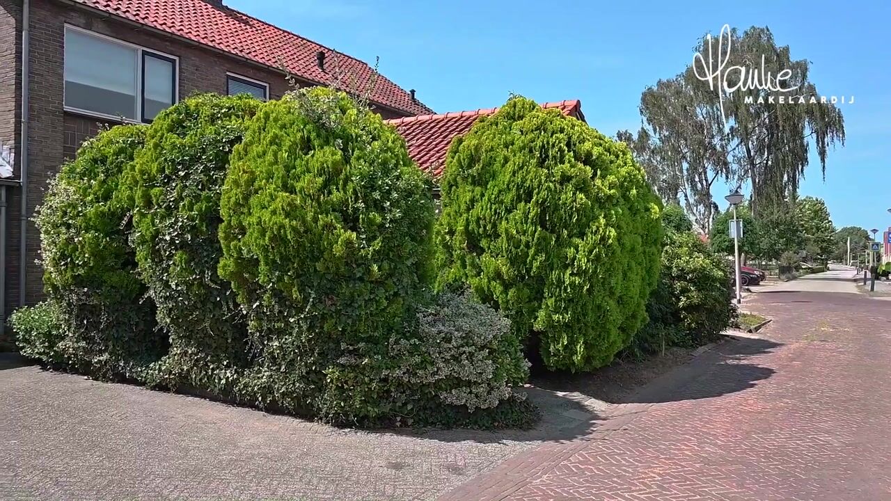 Video van Burgemeester Kuiperslaan 9