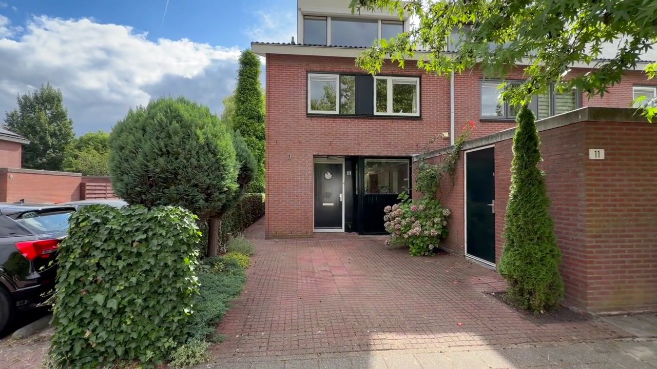 Video van Noorse Lijster 11