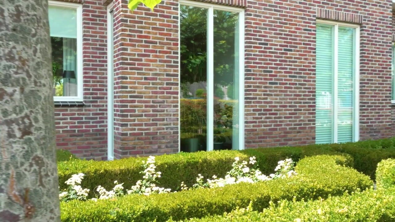 Video van Bieslook 4