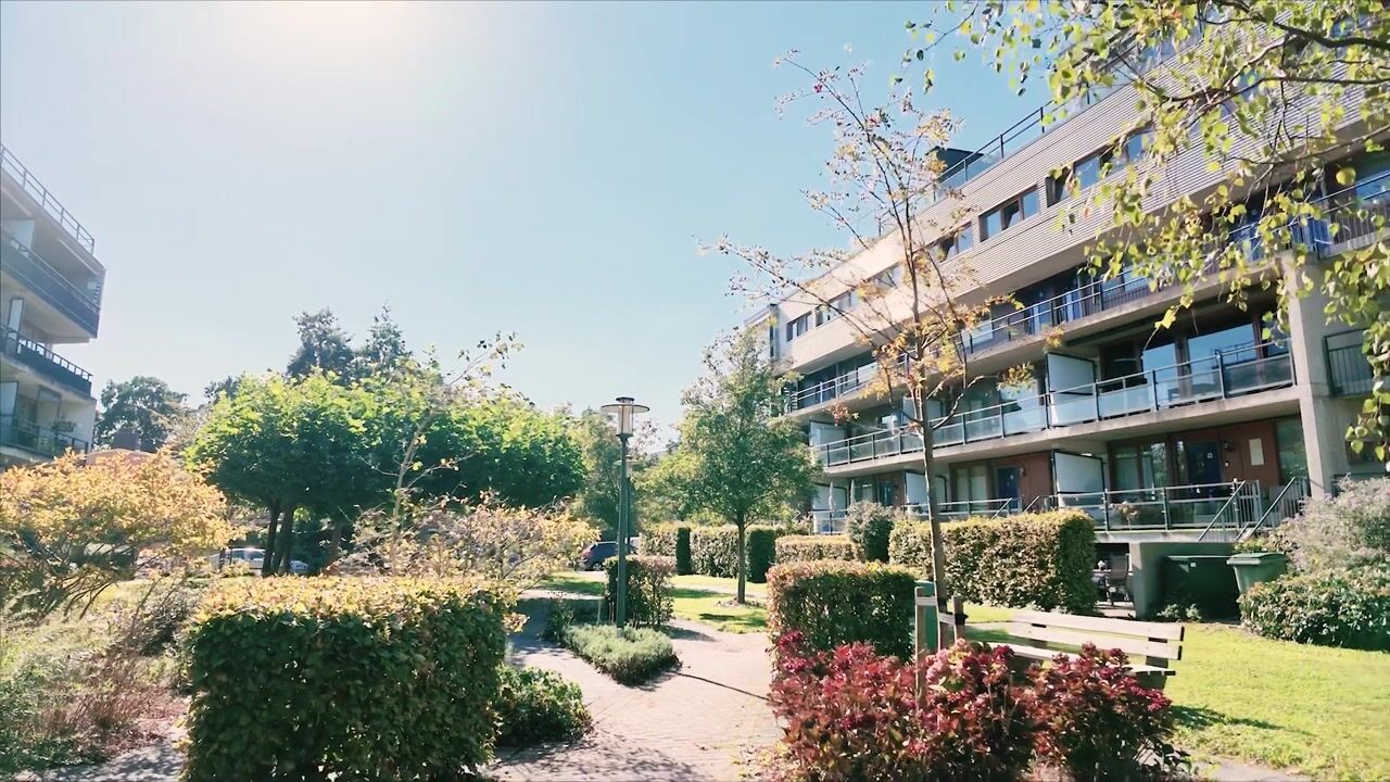 Video van Jan Campertstraat 66