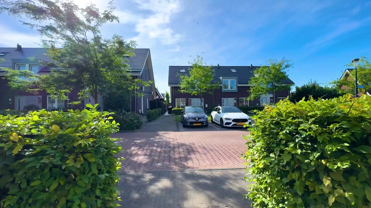 Video van Hemsink 20