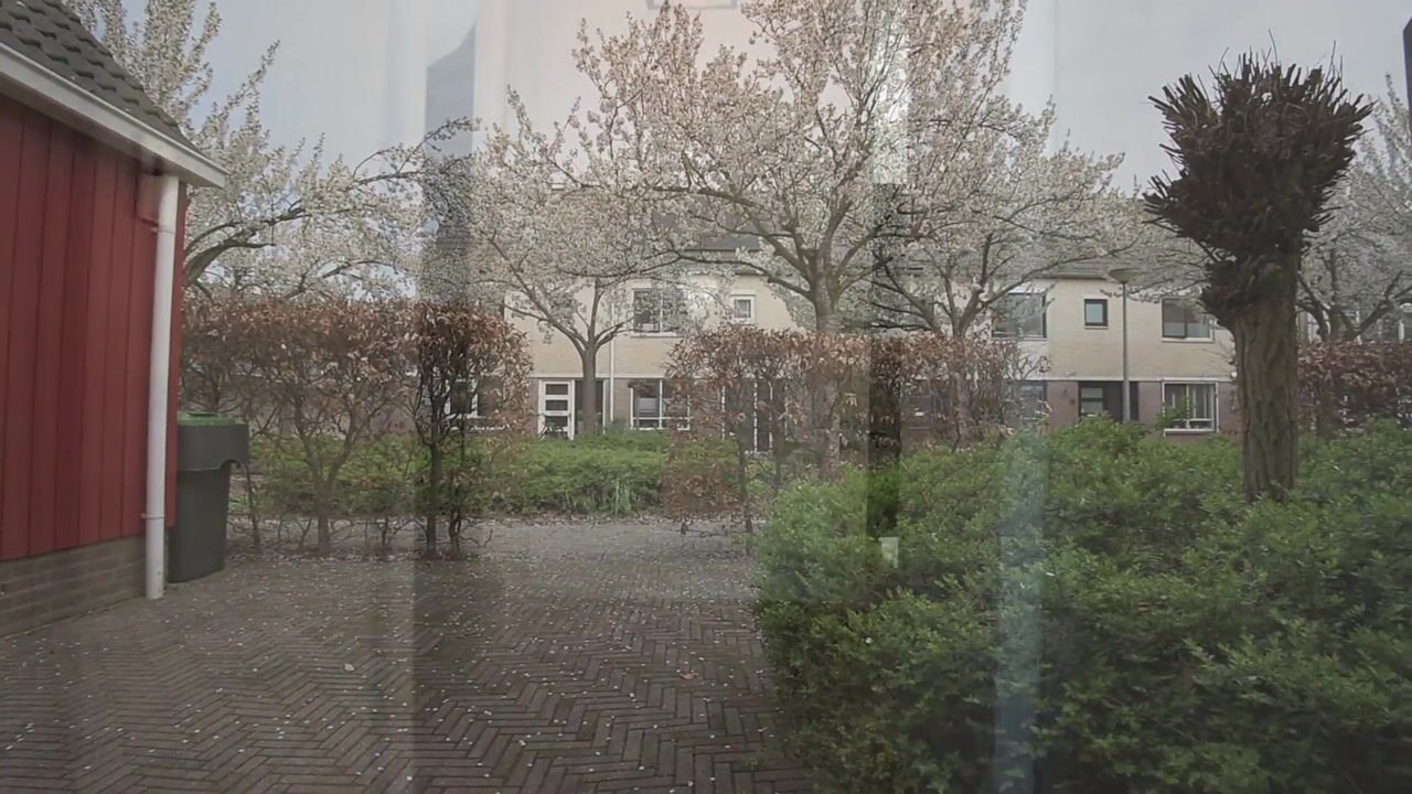 Video van Sweelinckdreef 31