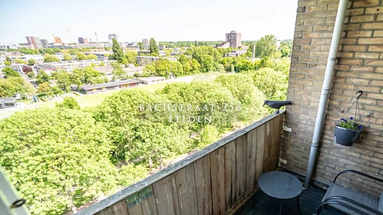 Video van Bachstraat 256