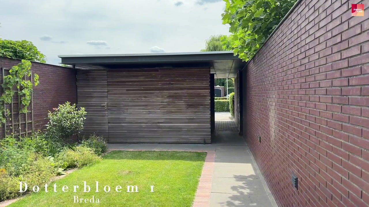 Video van Dotterbloem 1