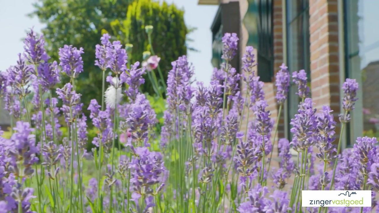 Video van Zuidbrink 11