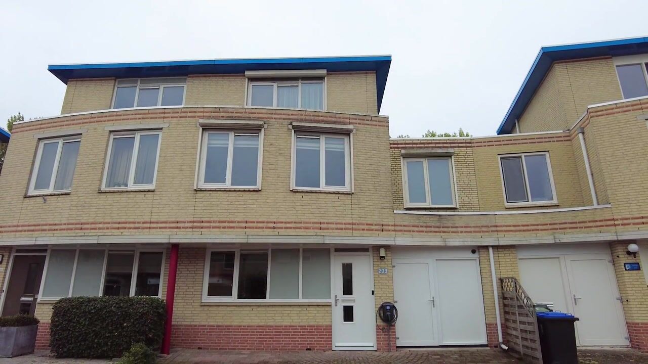 Video van Palissander 203