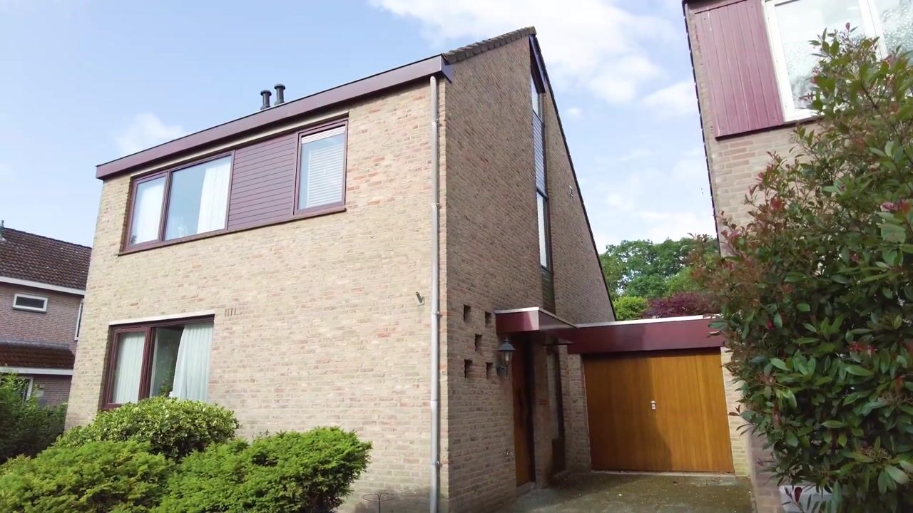 Video of Jaagpad 1