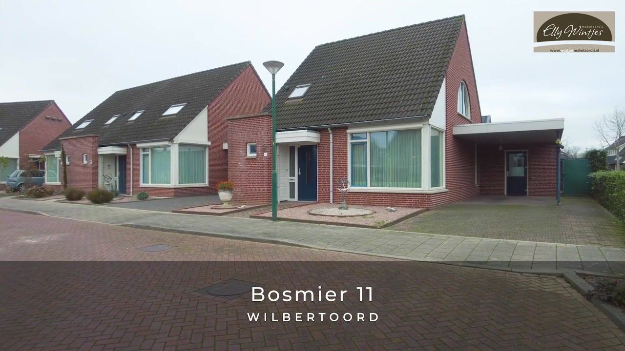 View video of Bosmier 11