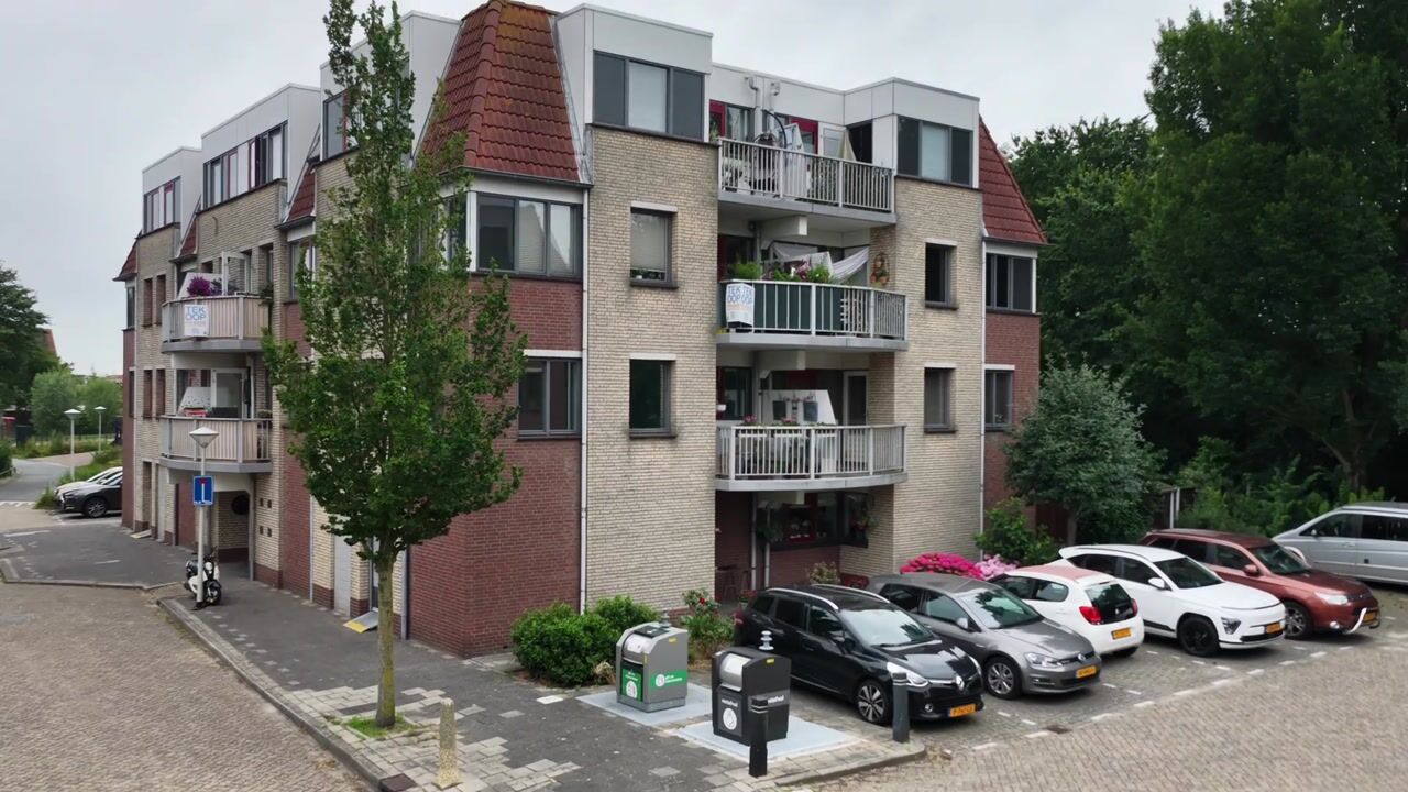 Video van Zeekoet 46