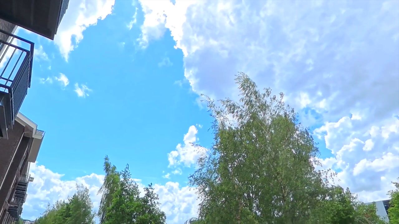 Video of Twijnderlaan 170
