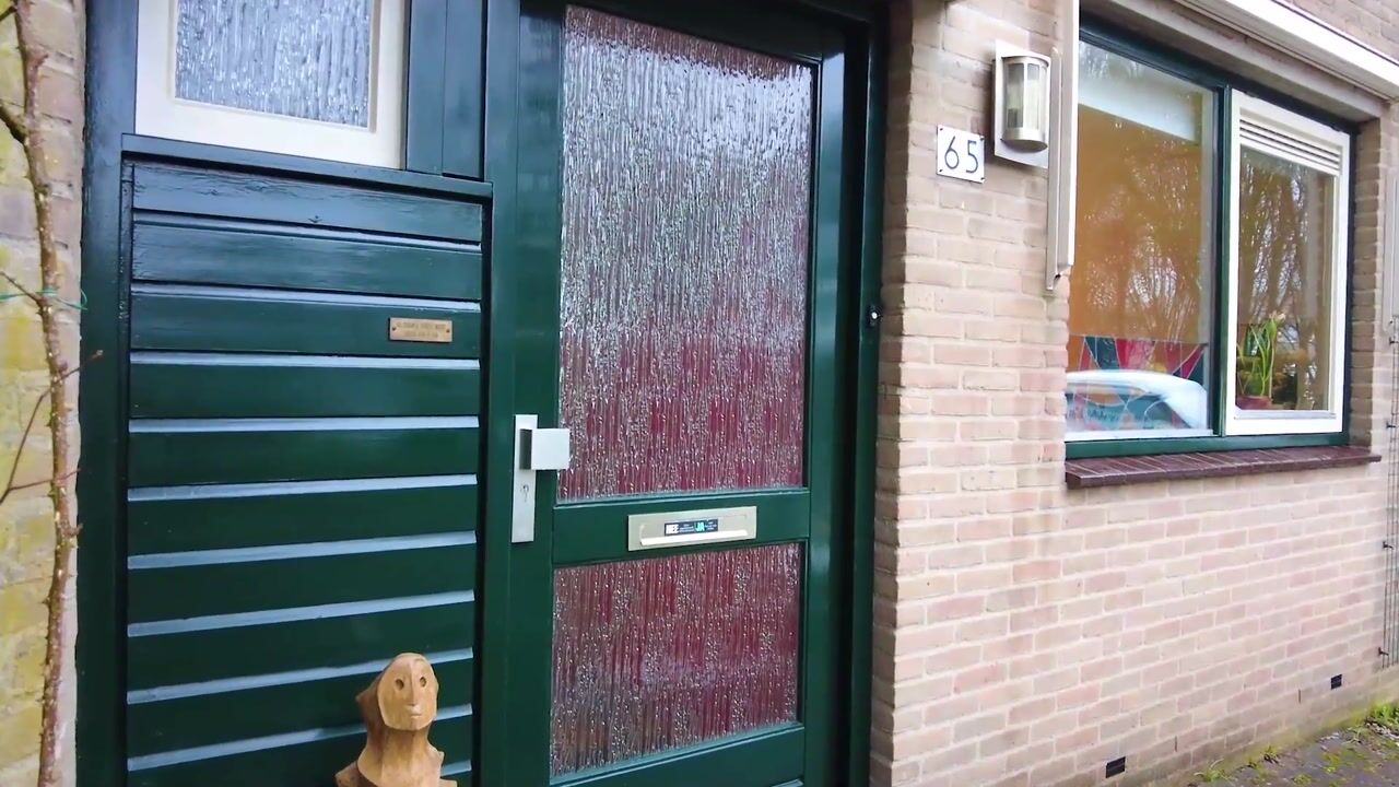 Video van Pinksterbloem 65