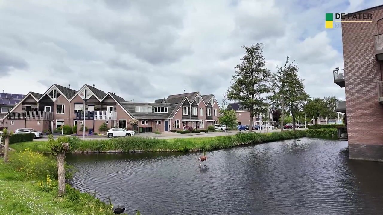 Video van Molenring 111