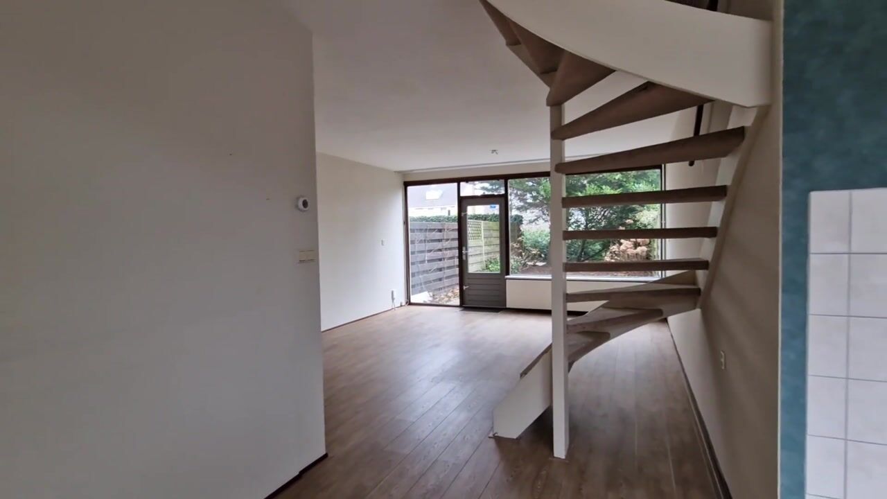 Video van Palestrina 12