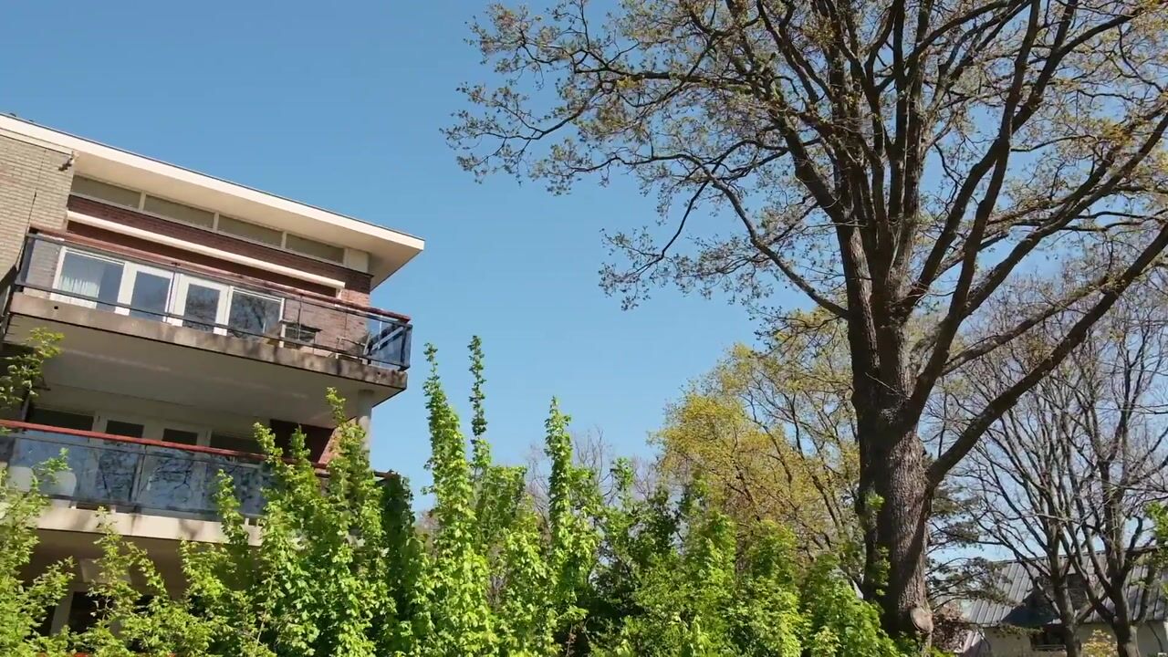Video of Haelkesteijn 1-B