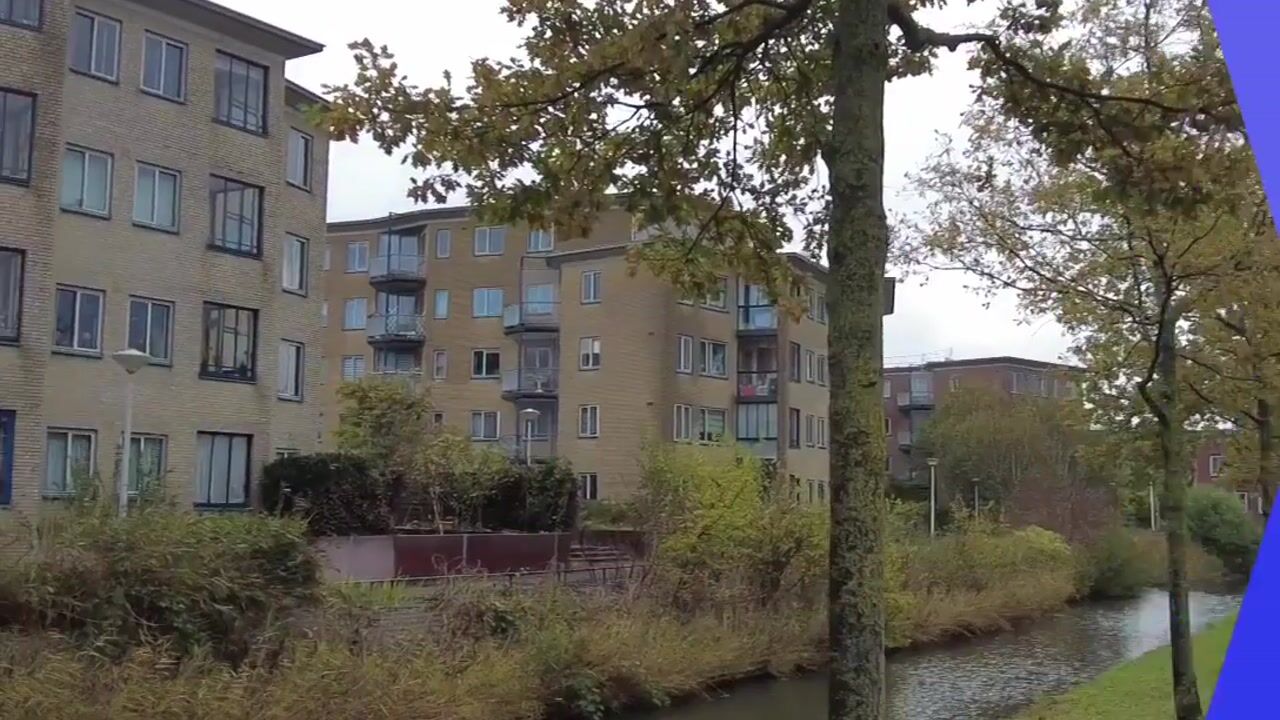 Video van Akersingel 60