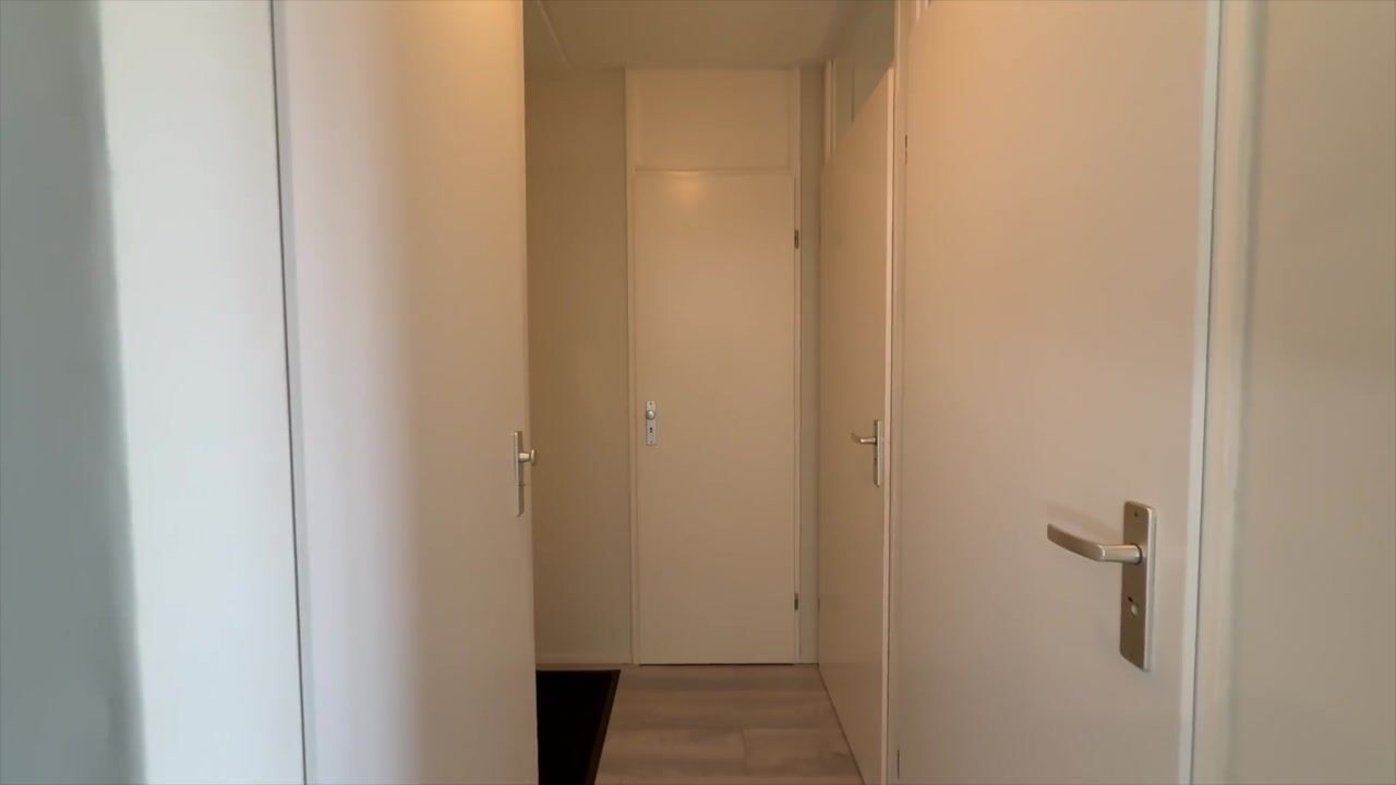 Video van Schiedamseweg 244-C