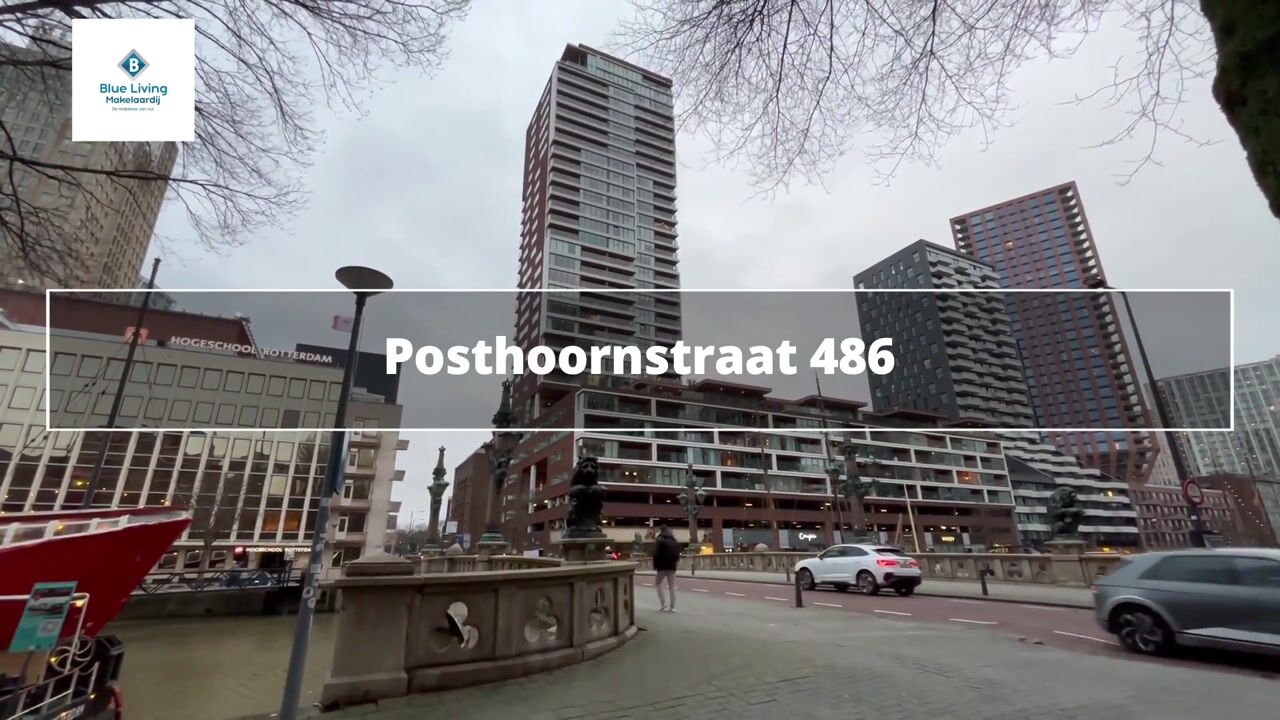 Video of Posthoornstraat 486