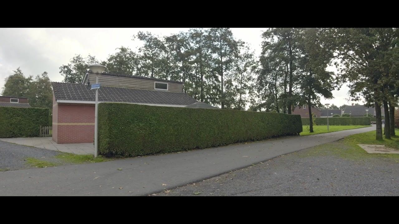 Video of Bargereed 12