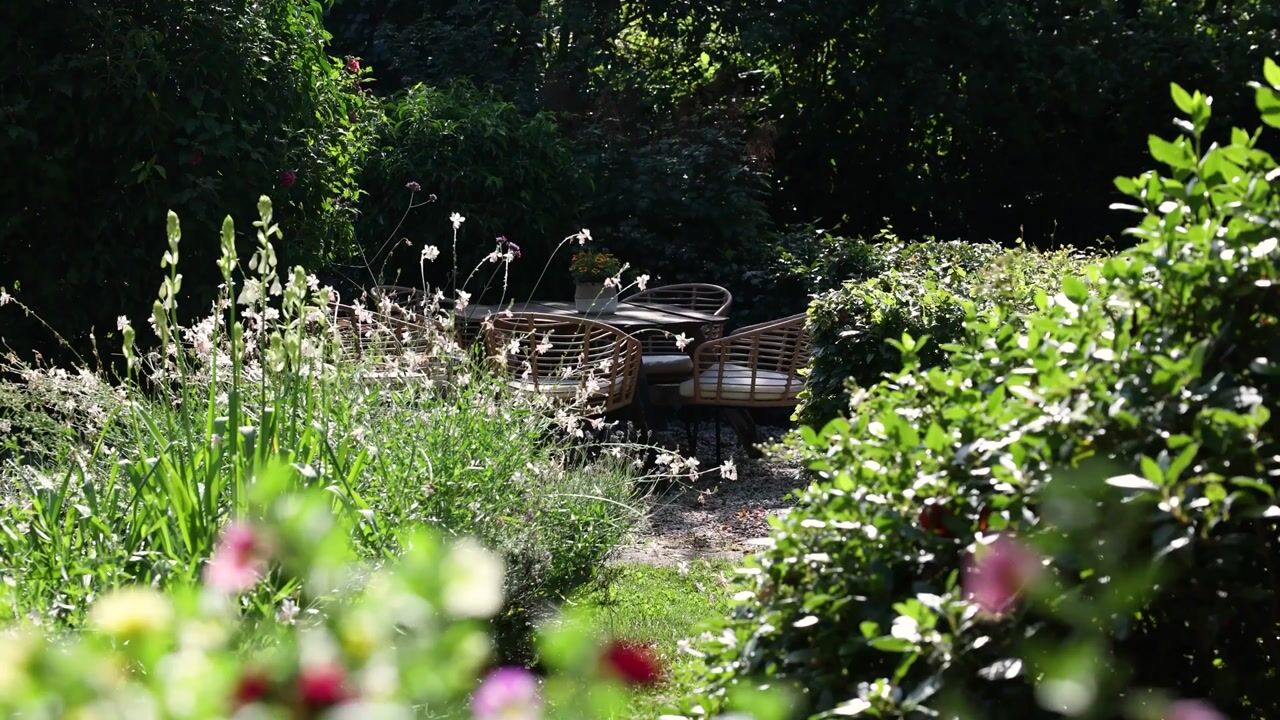 Video of Hommelstraat 3