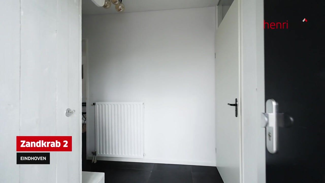 Video van Zandkrab 2