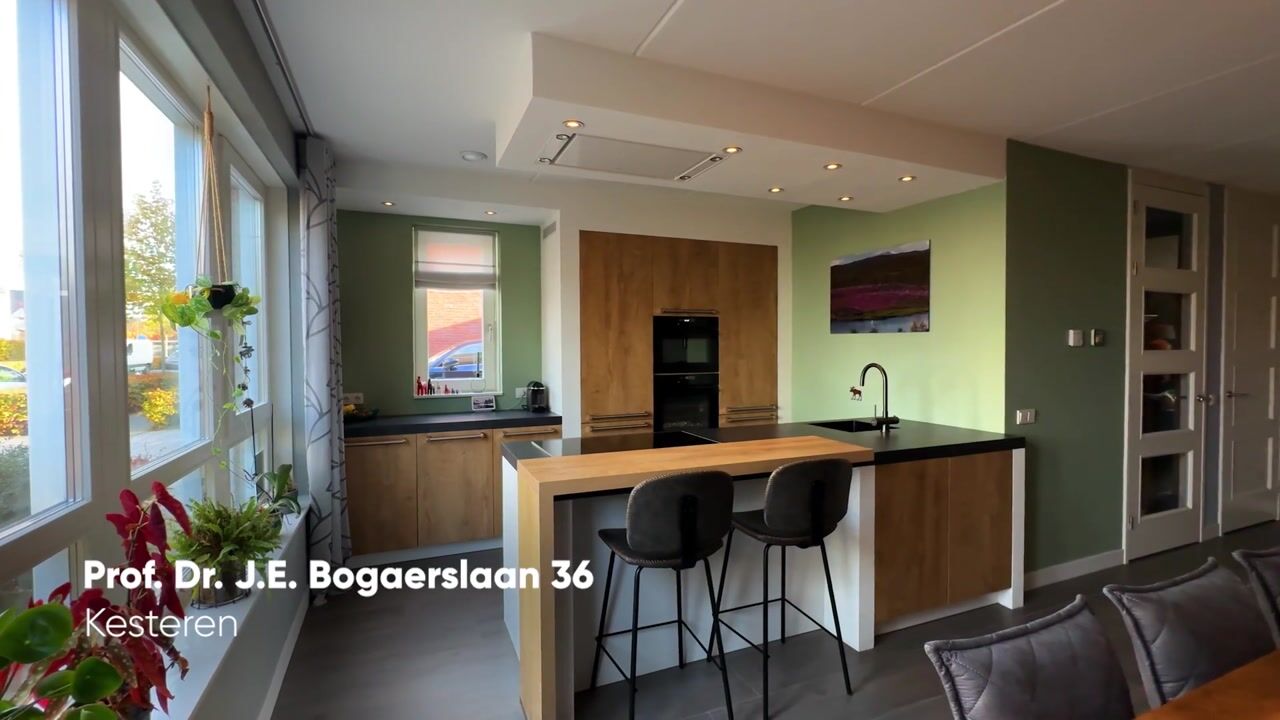 Video of Prof dr J E Bogaerslaan 36