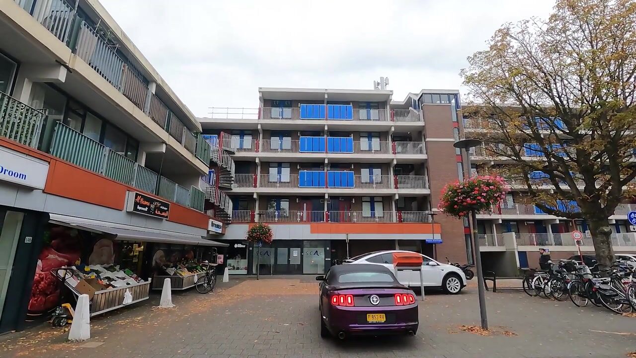 Video of Hannie Schaftrode 66