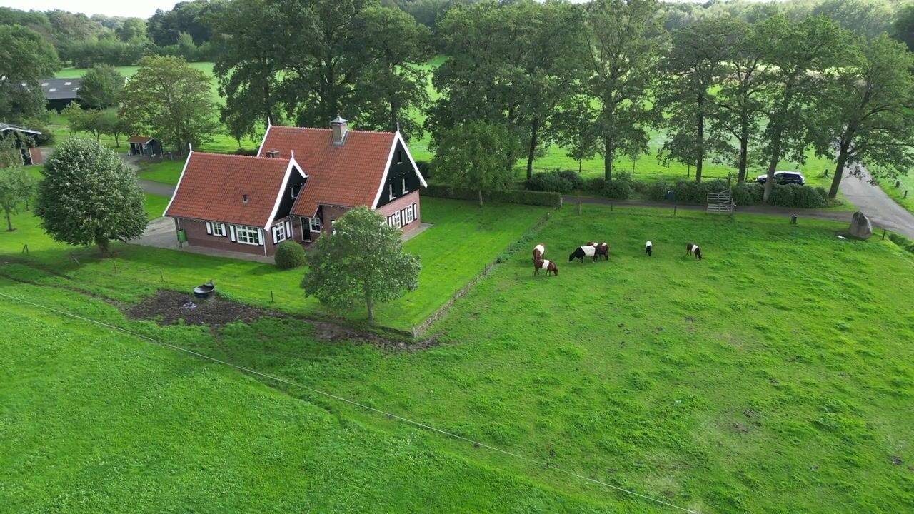 Video van Voortmansweg 8