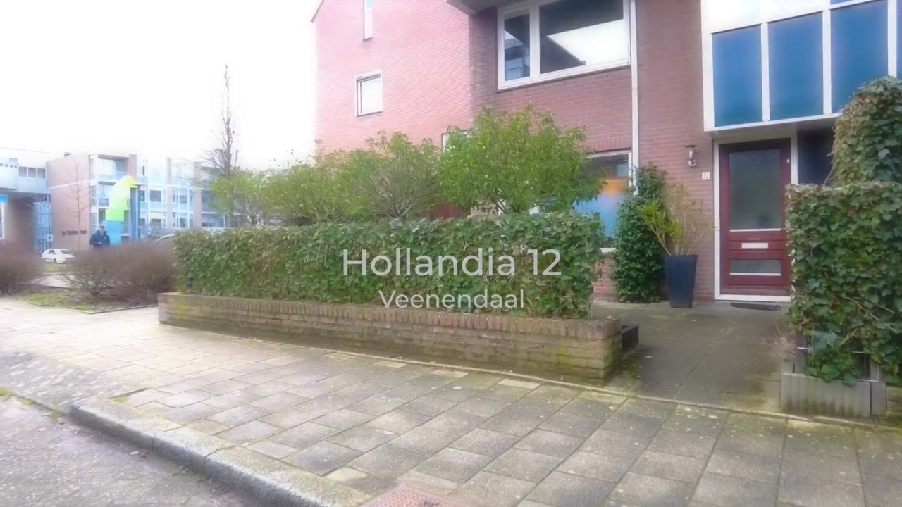 Video of Hollandia 12