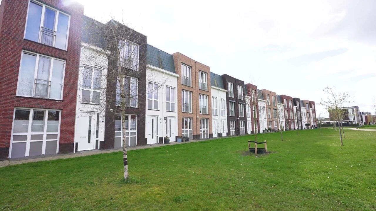 Video van Grote Parelmoervlinder 6