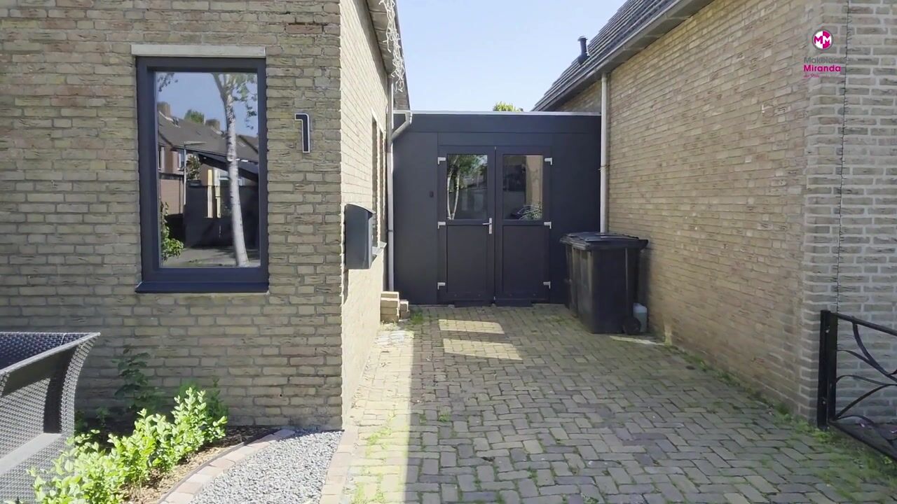 Video van Vlaamse Gaai 1