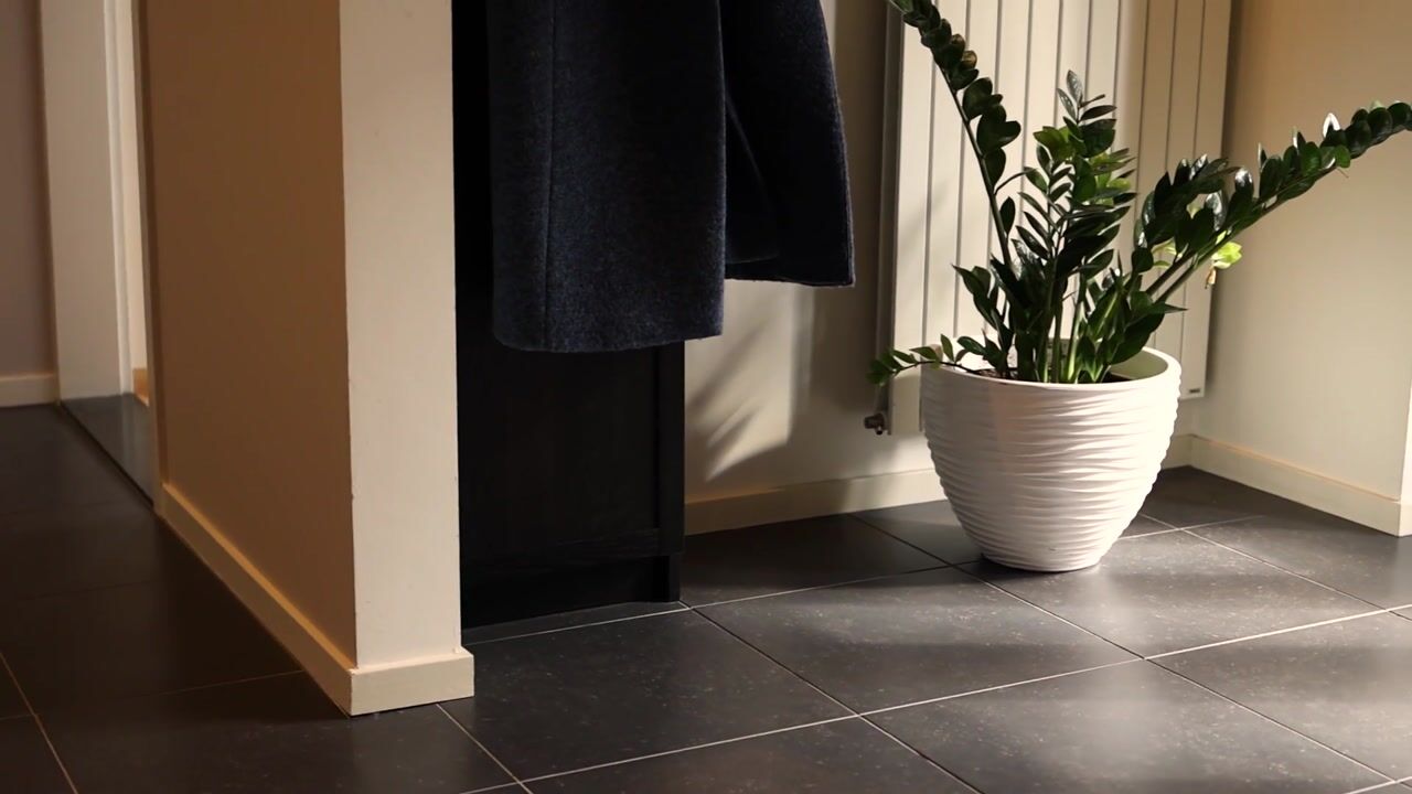 Video of Celsiusstraat 33