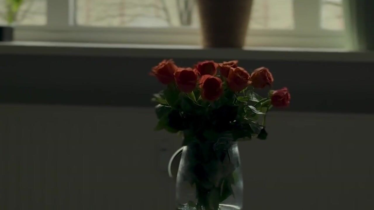 Video van Oude Lossersestraat 58