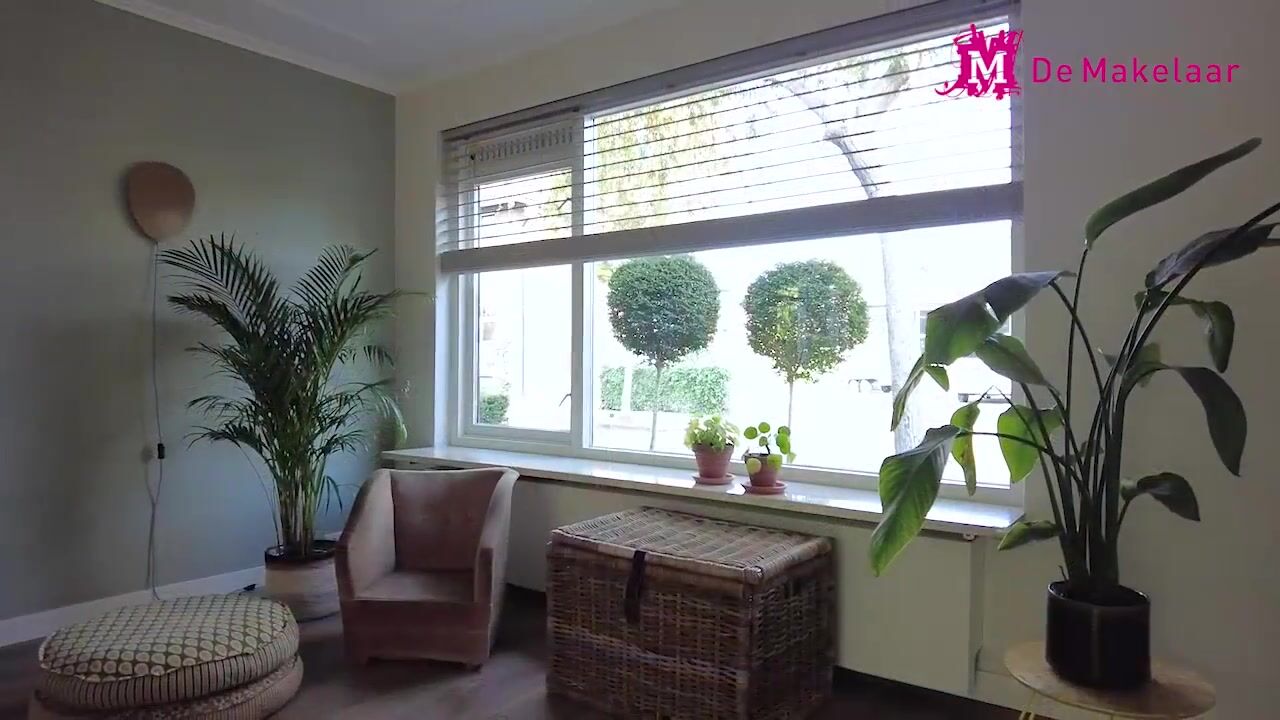 Video van van Lennepstraat 29