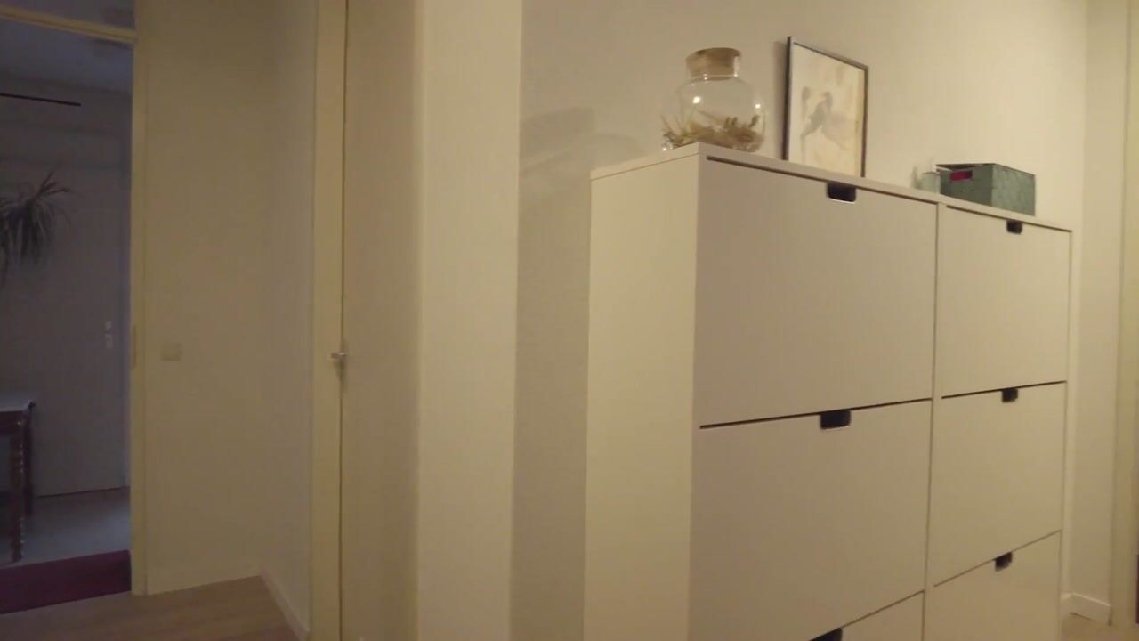 Video of Professor van Weliestraat 26