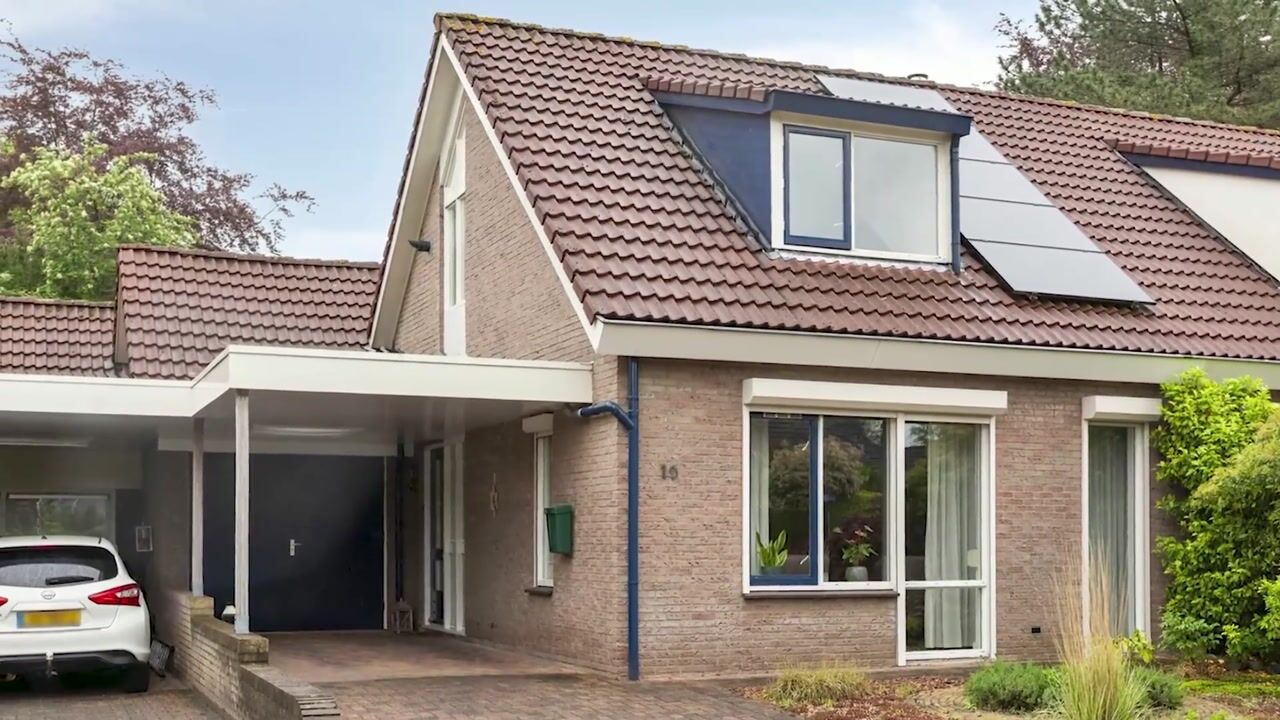 Video of Gantvoort 19