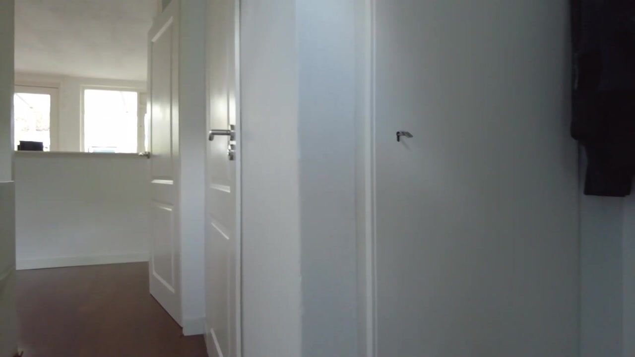 Video of Rietgors 58