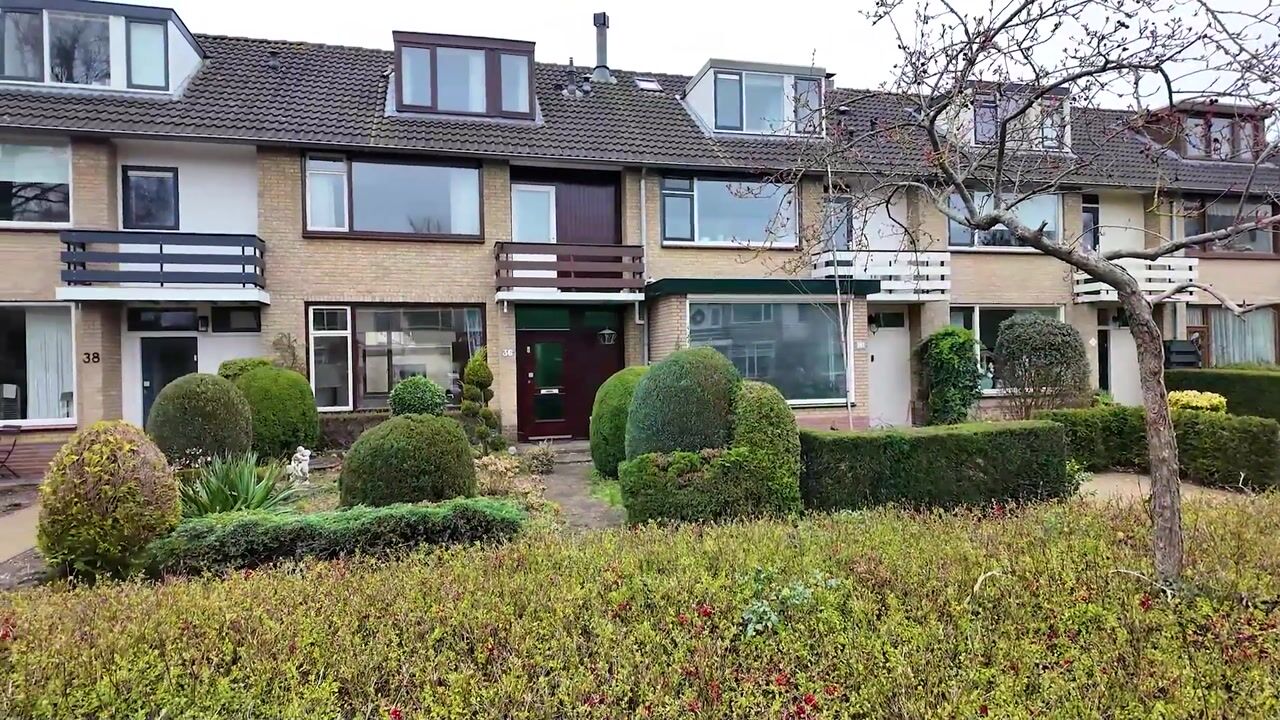 Video van Steynlaan 36