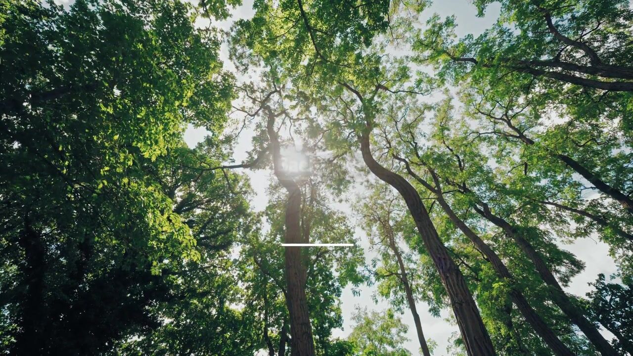 Video van Kazernelaan 130