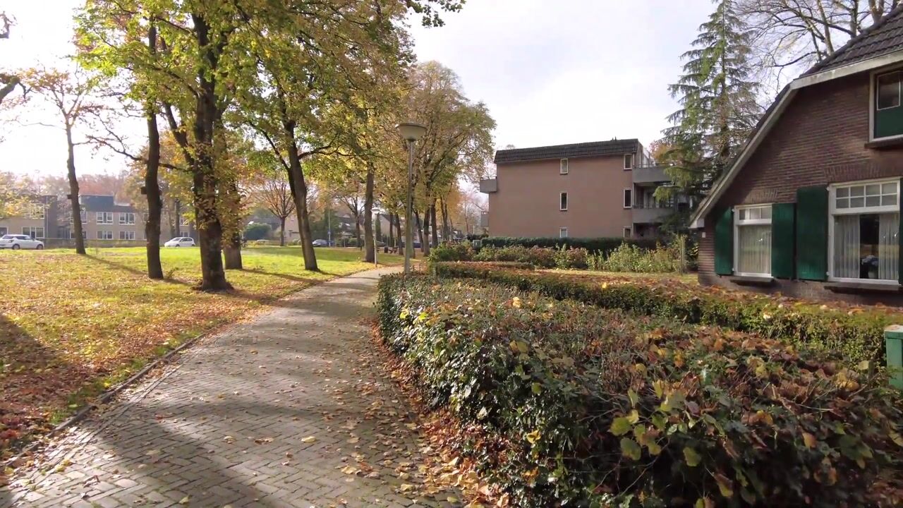 Video van De Höfte 36