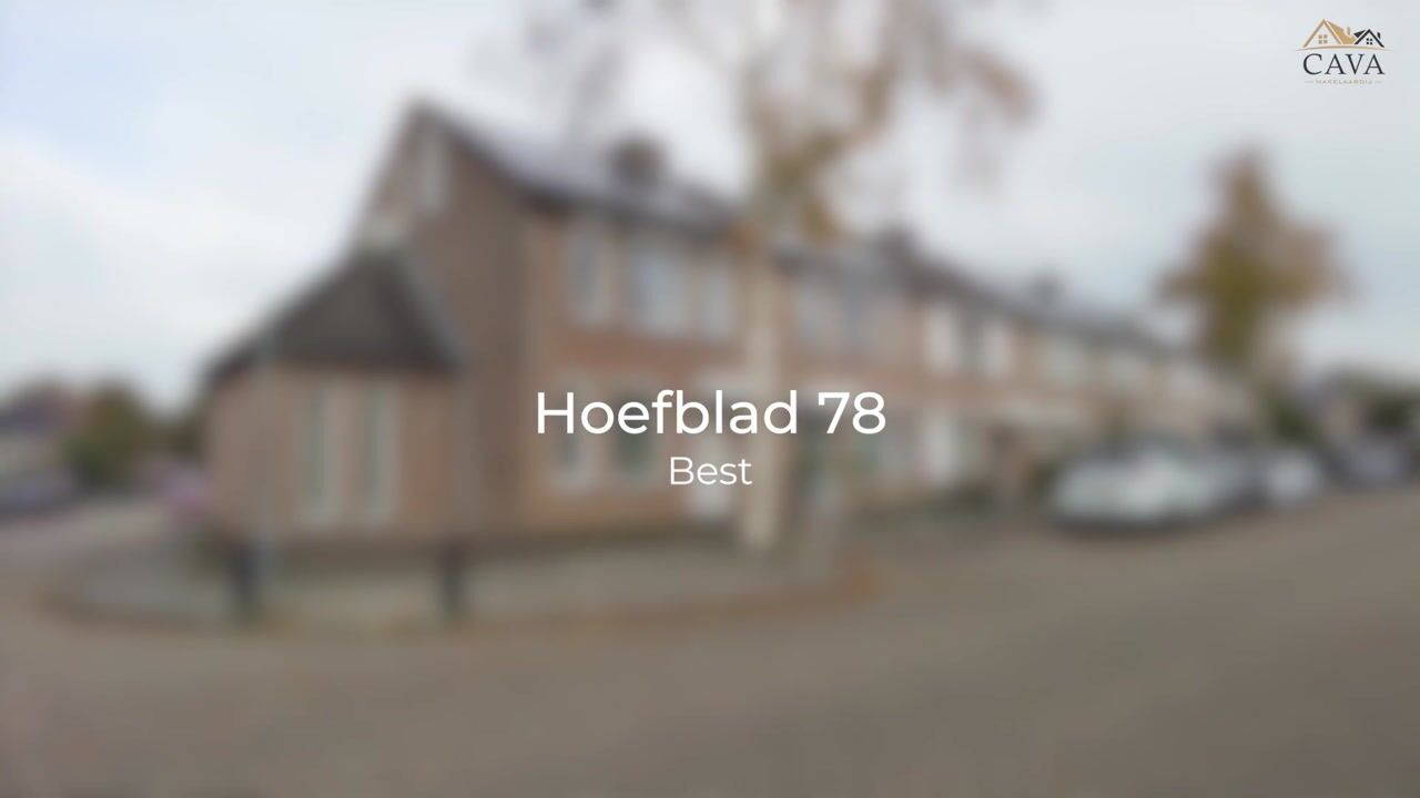 Video van Hoefblad 78