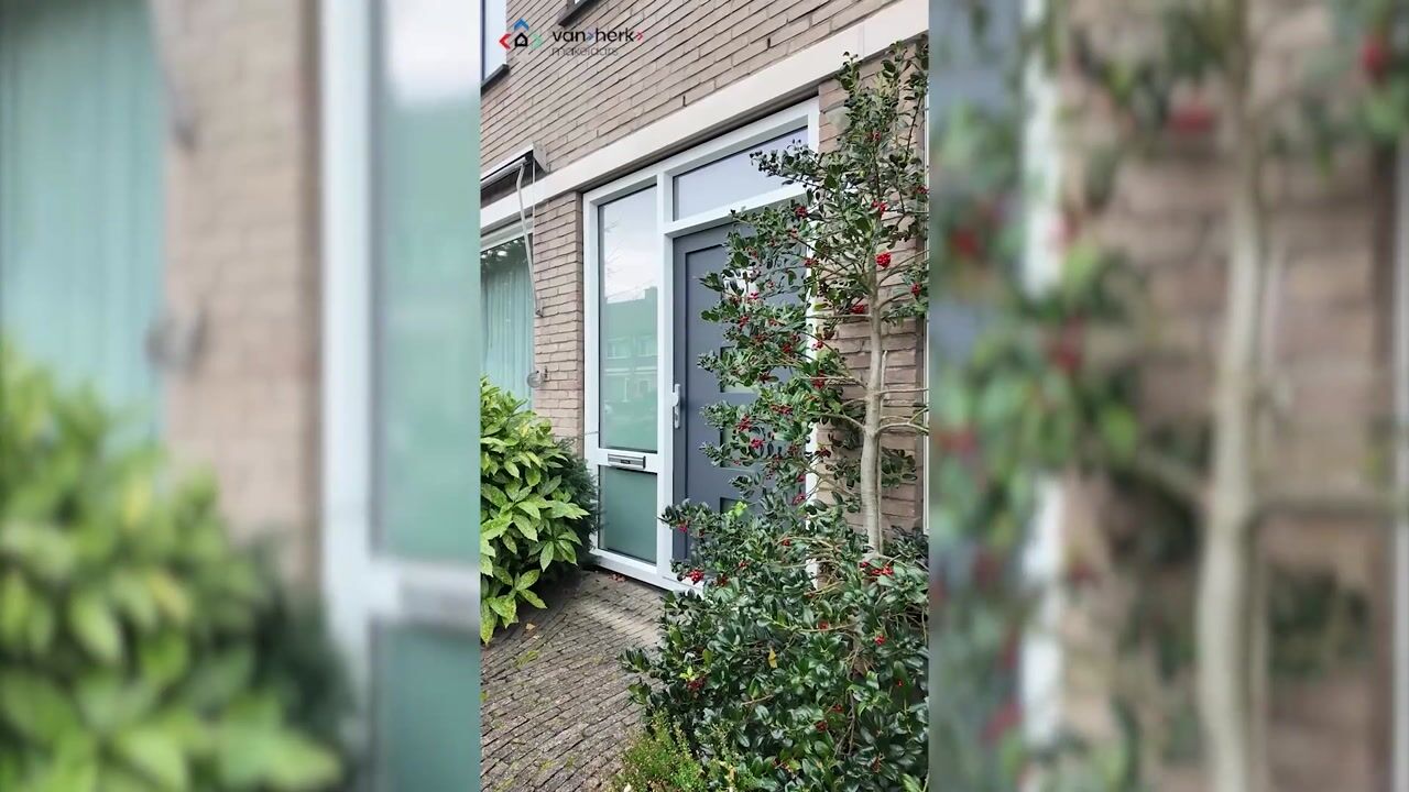 Video of Balsemkruid 19