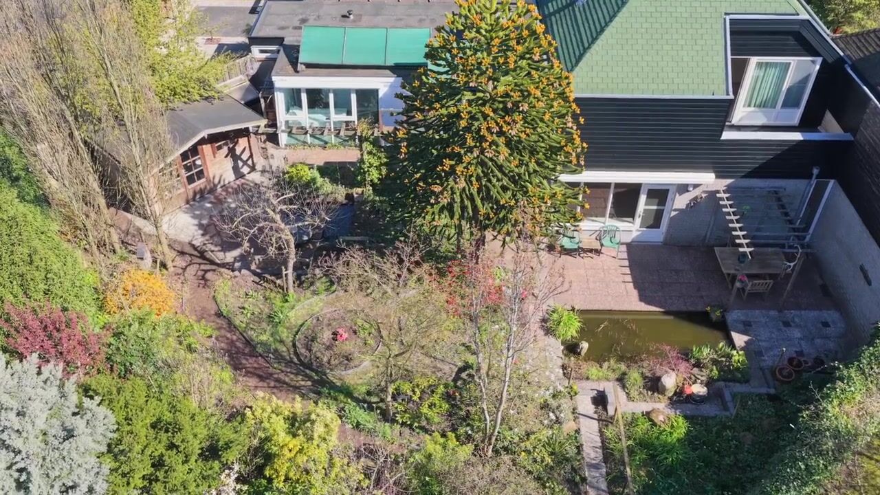 Video van Looikolkstraat 4