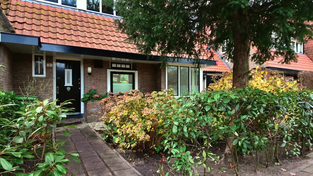 Video of Jan Tooropplantsoen 2